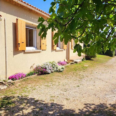 Villa Bel-Horizon, Soleil Du Sud Bagnols-sur-Ceze Exterior photo